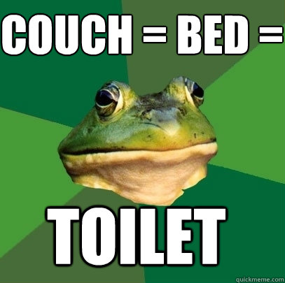 Couch = bed =   toilet  Foul Bachelor Frog