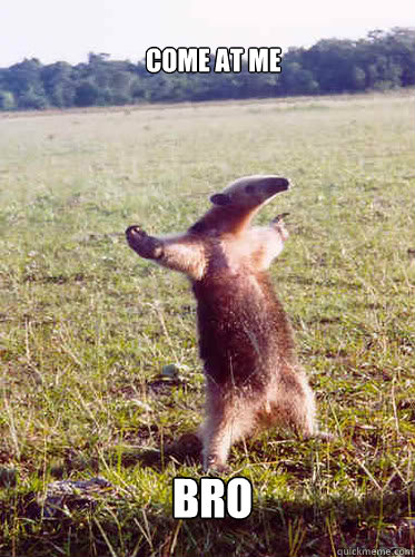 BRO  COME AT ME  