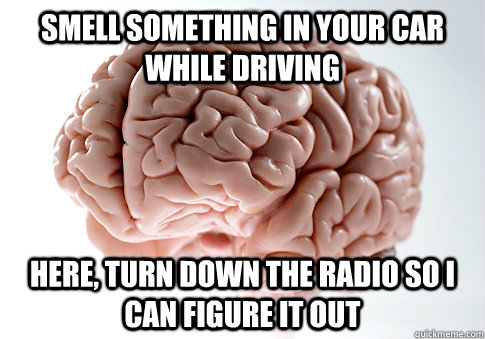 smell something in your car while driving here, turn down the radio so i can figure it out  Scumbag Brain