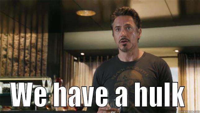 we have a hulk! -  WE HAVE A HULK Misc
