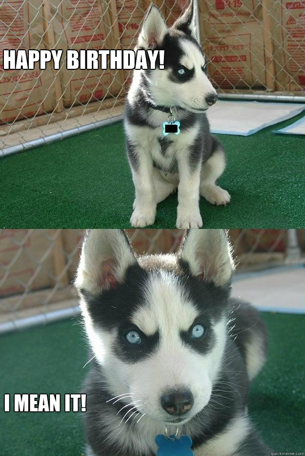 Happy Birthday! I mean it!  - Happy Birthday! I mean it!   Insanity puppy