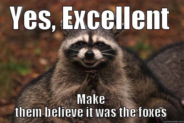 Evil Raccoon at it again - YES, EXCELLENT MAKE THEM BELIEVE IT WAS THE FOXES Evil Plotting Raccoon