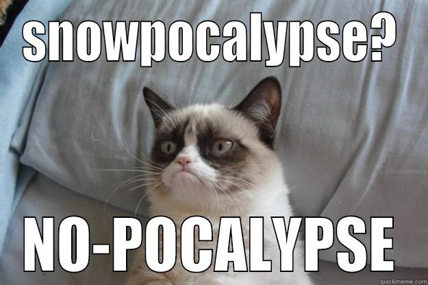 SNOWPOCALYPSE? NO-POCALYPSE Grumpy Cat