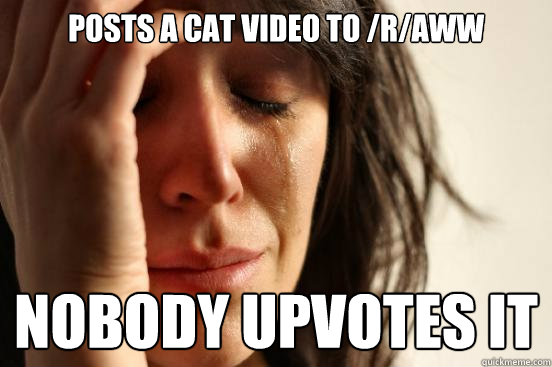 Posts a cat video to /r/aww nobody upvotes it  First World Problems