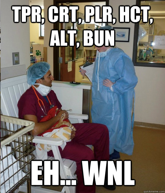 tpr, crt, plr, hct, alt, bun eh... wnl - tpr, crt, plr, hct, alt, bun eh... wnl  Overworked Veterinary Student