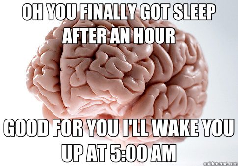 OH YOU FINALLY GOT SLEEP AFTER AN HOUR GOOD FOR YOU I'LL WAKE YOU UP AT 5:00 AM  Scumbag Brain