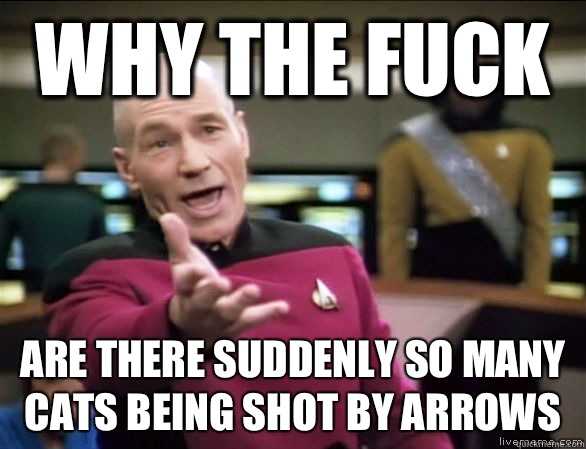 why the fuck Are there suddenly so many cats being shot by arrows - why the fuck Are there suddenly so many cats being shot by arrows  Annoyed Picard HD