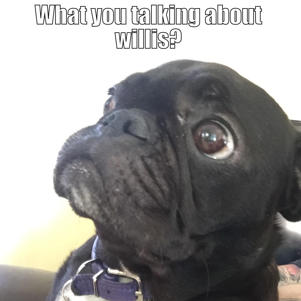 WHAT YOU TALKING ABOUT WILLIS?  Misc