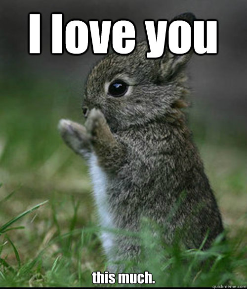 I love you this much. - I love you this much.  Dis much bunny