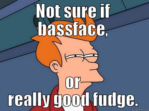 NOT SURE IF BASSFACE, OR REALLY GOOD FUDGE. Futurama Fry