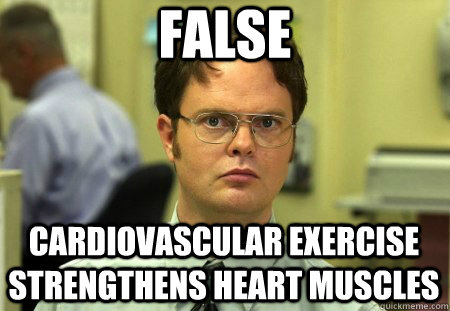 False cardiovascular exercise strengthens heart muscles  Dwight Schrute
