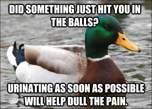 did something just hit you in the balls? Urinating as soon as possible will help dull the pain. - did something just hit you in the balls? Urinating as soon as possible will help dull the pain.  Actual Advice Mallard