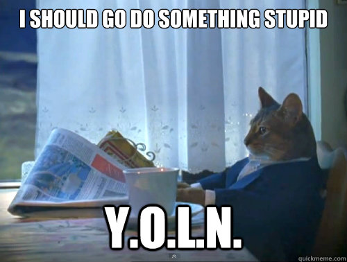I Should go do something stupid Y.o.l.n.  The One Percent Cat