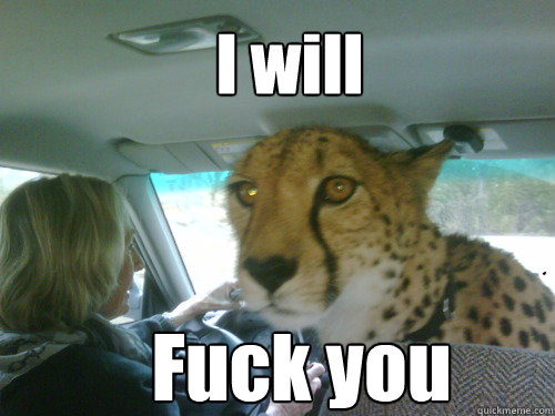 I will Fuck you  Chill Cheetah