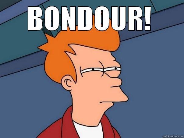 BONDOUR!  Futurama Fry