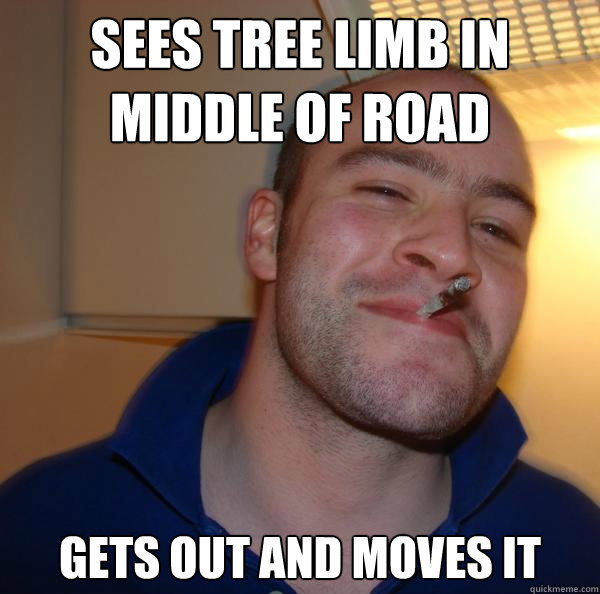 sees tree limb in middle of road gets out and moves it - sees tree limb in middle of road gets out and moves it  Misc