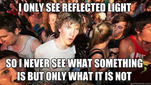 I only see reflected light
 so i never see what something is but only what it is not  Sudden Clarity Clarence
