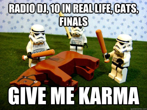 radio dj, 10 in real life, cats, finals give me karma  