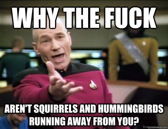 why the fuck aren't squirrels and hummingbirds running away from you?  Annoyed Picard HD