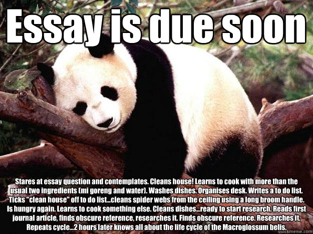 Essay is due soon Stares at essay question and contemplates. Cleans house! Learns to cook with more than the usual two ingredients (mi goreng and water). Washes dishes. Organises desk. Writes a to do list. Ticks 