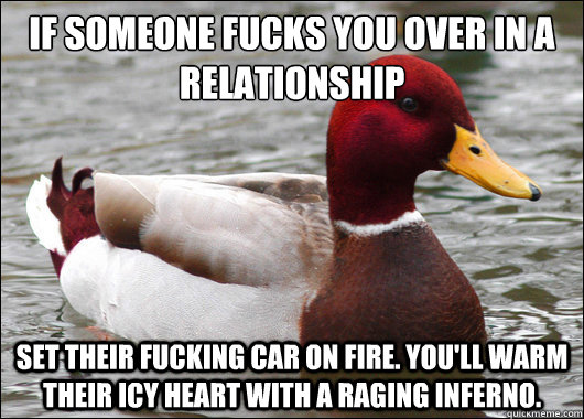 If someone fucks you over in a relationship
 Set their fucking car on fire. you'll Warm their icy heart with a raging inferno.  Malicious Advice Mallard