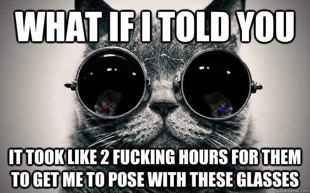 What if i told you it took like 2 fucking hours for them to get me to pose with these glasses   Cat morpheus plus paws