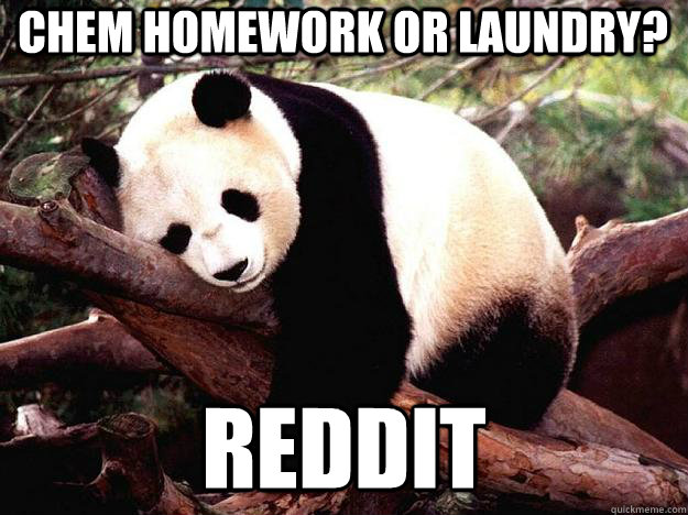 CHEM HOMEWORK OR LAUNDRY? REDDIT  Procrastination Panda