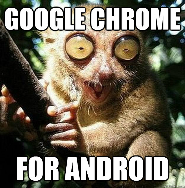 Google Chrome FOR ANDROID  