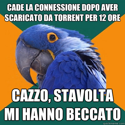 cade la connessione dopo aver scaricato da torrent per 12 ore cazzo, stavolta mi hanno beccato  Paranoid Parrot