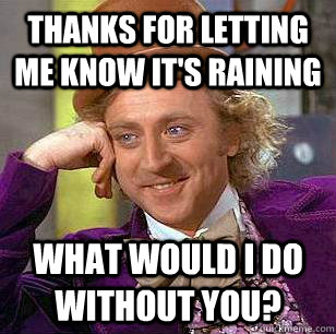 Thanks for letting me know it's raining what would i do without you? - Thanks for letting me know it's raining what would i do without you?  Condescending Wonka