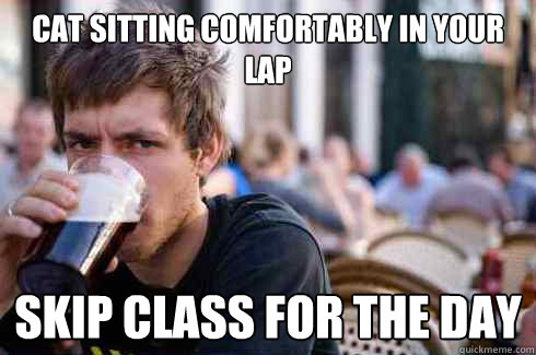 Cat sitting comfortably in your lap skip class for the day  Lazy College Senior
