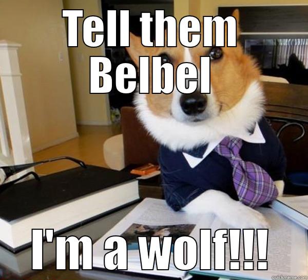 TELL THEM BELBEL I'M A WOLF!!! Lawyer Dog