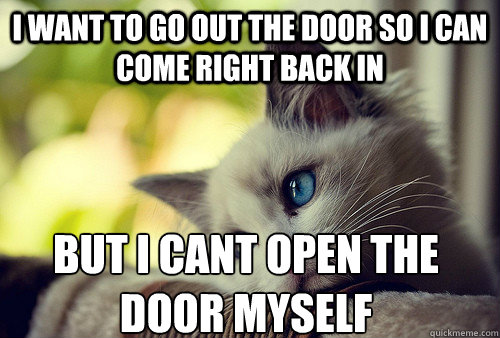 I want to go out the door so i can come right back in but i cant open the door myself  First World Cat Problems