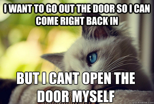 I want to go out the door so i can come right back in but i cant open the door myself - I want to go out the door so i can come right back in but i cant open the door myself  First World Cat Problems