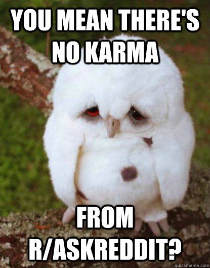 You mean there's no karma from r/askreddit? - You mean there's no karma from r/askreddit?  Depressed Owl