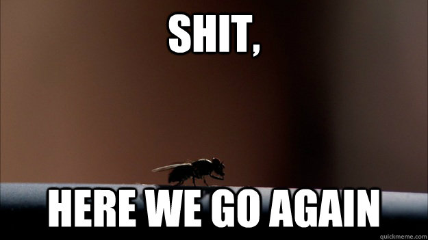 SHIT, Here we go again - SHIT, Here we go again  Misc
