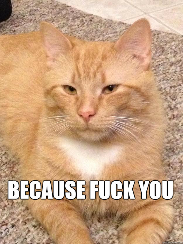Because Fuck You  