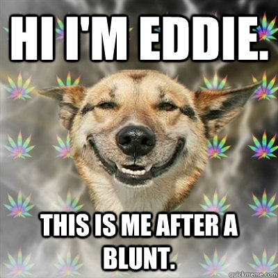 Hi i'm eddie. This is me after a blunt.  Stoner Dog