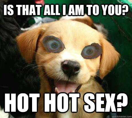 is that all I am to you? hot hot sex?  Pervy Meme