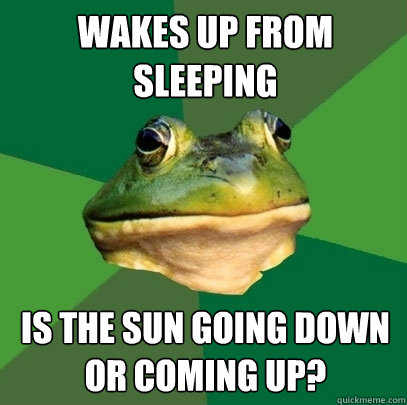 Wakes up from sleeping is the sun going down or coming up?  Foul Bachelor Frog