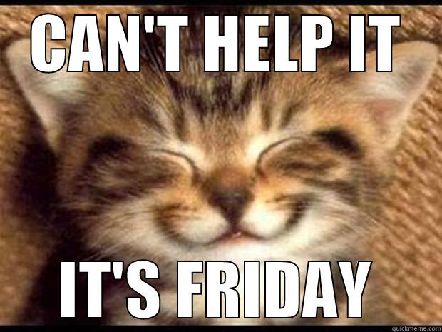 CAN'T HELP IT IT'S FRIDAY Misc