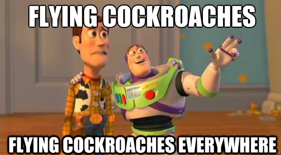 Flying Cockroaches Flying Cockroaches Everywhere  Buzz Glitter