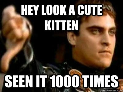 hey look a cute kitten seen it 1000 times  Downvoting Roman