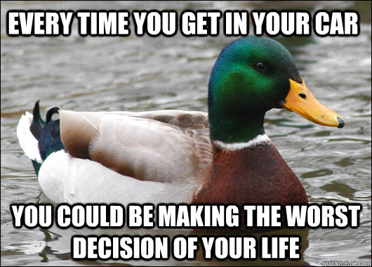 Every time you get in your car you could be making the worst decision of your life  Actual Advice Mallard