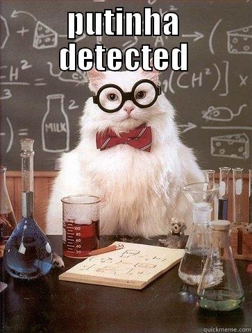 PUTINHA DETECTED  Chemistry Cat