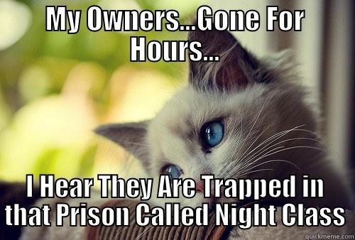 MY OWNERS...GONE FOR HOURS... I HEAR THEY ARE TRAPPED IN THAT PRISON CALLED NIGHT CLASS First World Problems Cat