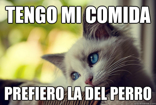 tengo mi comida prefiero la del perro  First World Problems Cat
