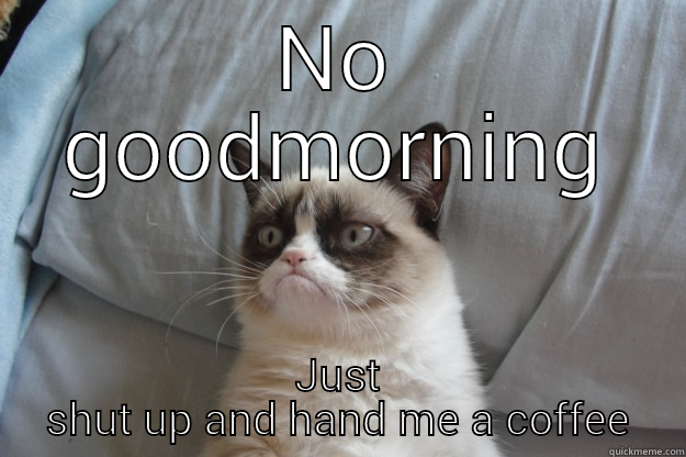 NO GOODMORNING JUST SHUT UP AND HAND ME A COFFEE Grumpy Cat