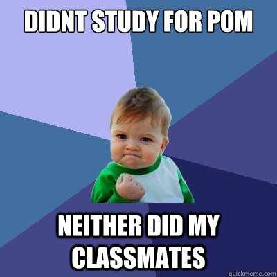 didnt study for POM neither did my classmates  Success Kid