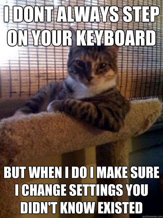 i dont always step on your keyboard but when i do i make sure i change settings you didn't know existed  The Most Interesting Cat in the World